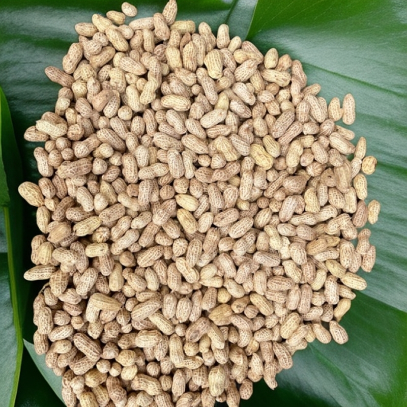 湖南湘西 新鲜湿花生 现挖现发手工精心挑选 颗粒饱满净重三/五斤