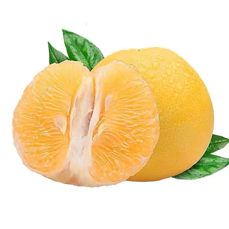 6【清甜多汁】福建黄金葡萄柚3粒装柚子黄肉蜜西柚1粒《250-350克》