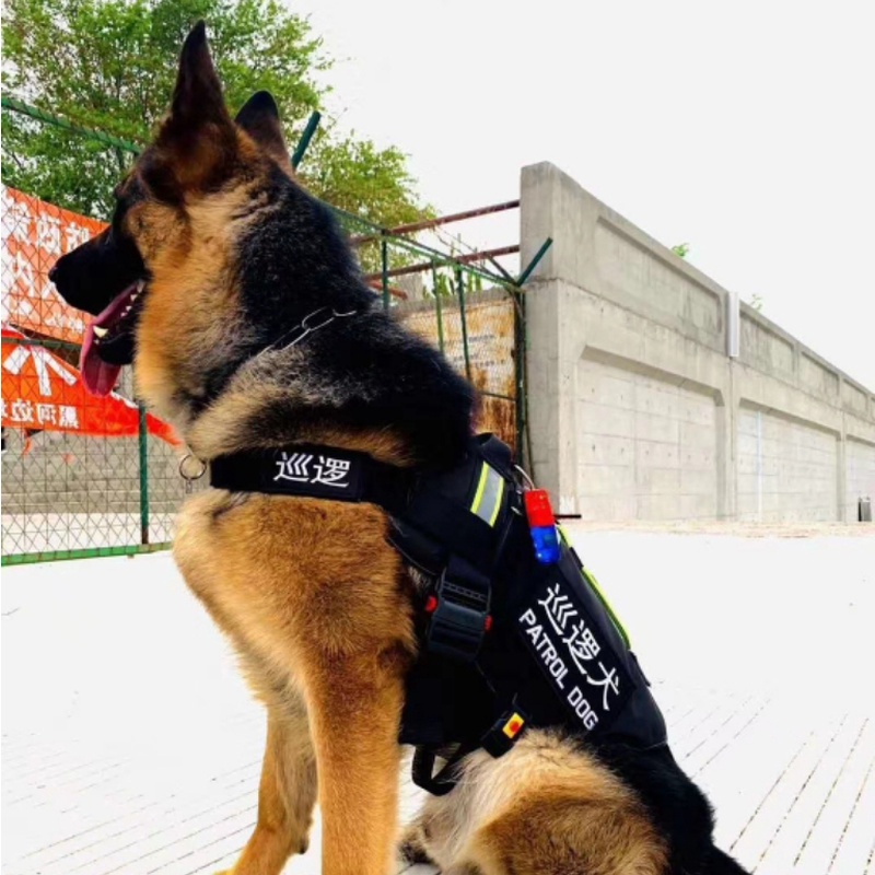 狗工作巡逻消防服金毛犬衣服胸背带杜宾背心春季搜救德牧马犬套背