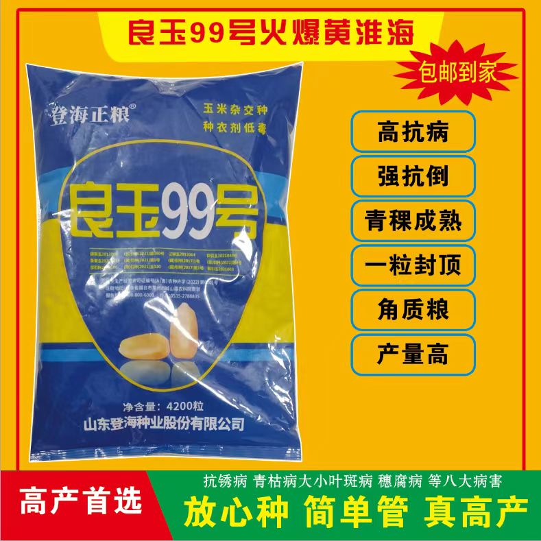 高产玉米种良玉99矮杆抗倒伏抗锈病抗旱4200粒双棒南北方玉米种子