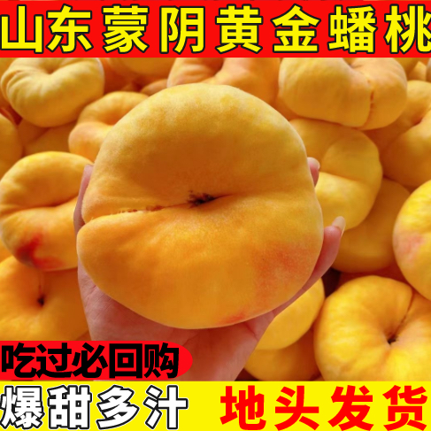 【超大巨无霸】山东蒙阴纯甜黄金蟠桃新鲜水果毛桃子应季新鲜的桃子