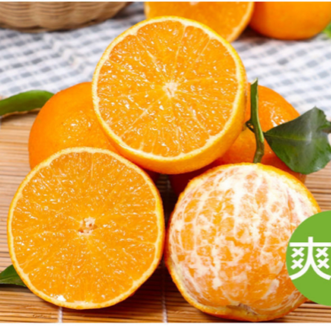 斯婷家爱媛38号果冻橙