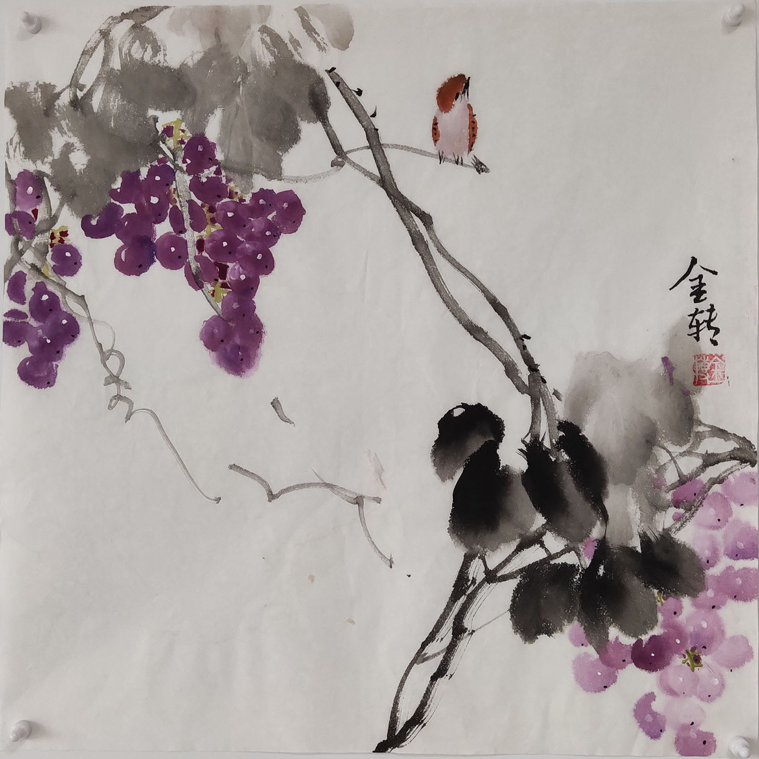 齐金转老师纯手绘小写意花鸟画葡萄柿子紫藤三尺斗方50X50cm