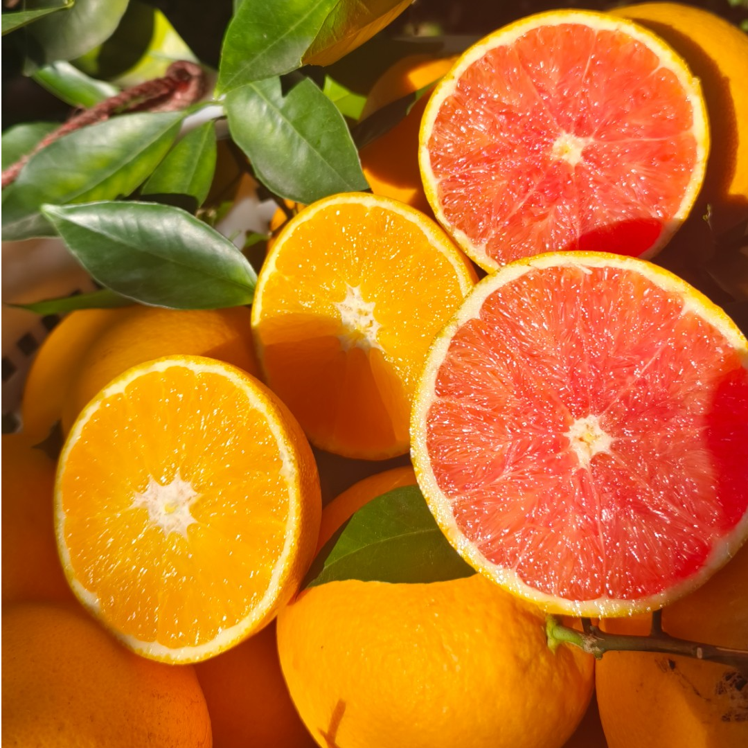赣南脐橙子现摘现发鲜甜新鲜香甜水果5斤10斤小果包邮