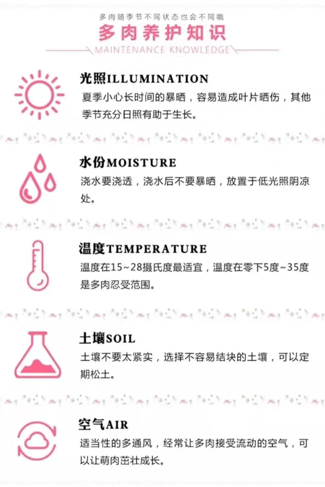 套餐三（三个大单头）（乌木，侧影，罗宾）