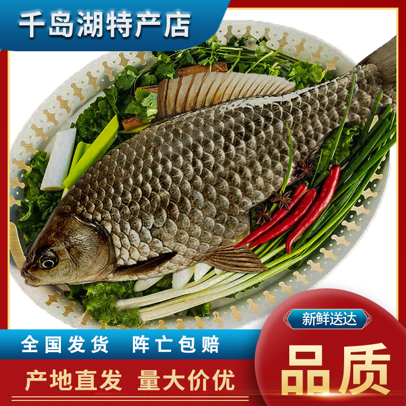 【活鱼】千岛湖黄金鲫鱼（5斤装）原生态鱼顺丰包邮〖活鱼发货〗