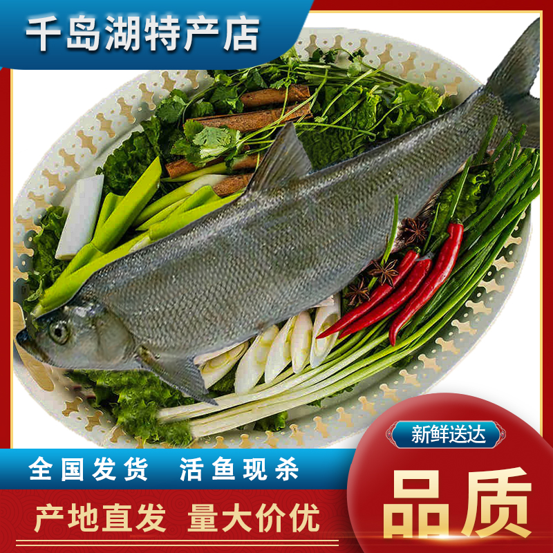【活鱼】千岛湖白花鱼（浪里白条）原生态鱼顺丰包邮〖活鱼发货〗