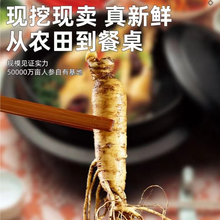 长白山鲜人参【残参】净重500g一斤装产地精选直供