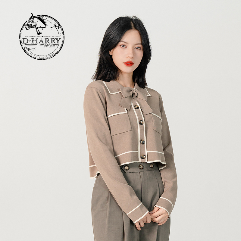 D-HARRY/迪哈利复古气质优雅小香风设计感针织短外套DH231C96010D