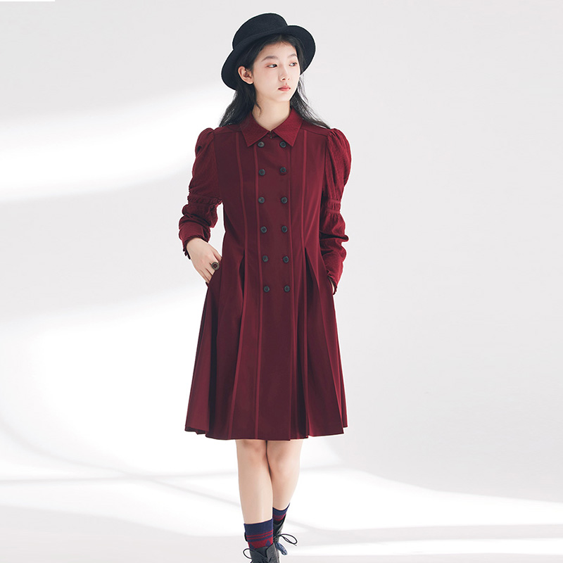 D-HARRY/迪哈利年新款气质长袖复古女装连衣裙DH241J96875D