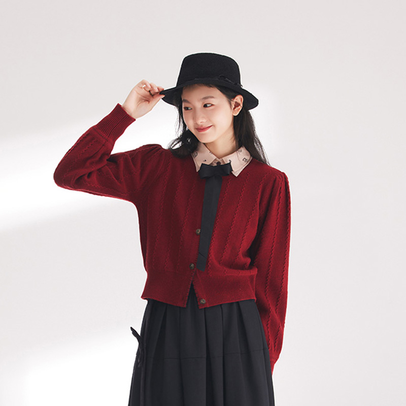  D-HARRY/迪哈利春蝴蝶结复古百搭长袖针织衫DH241C96989D