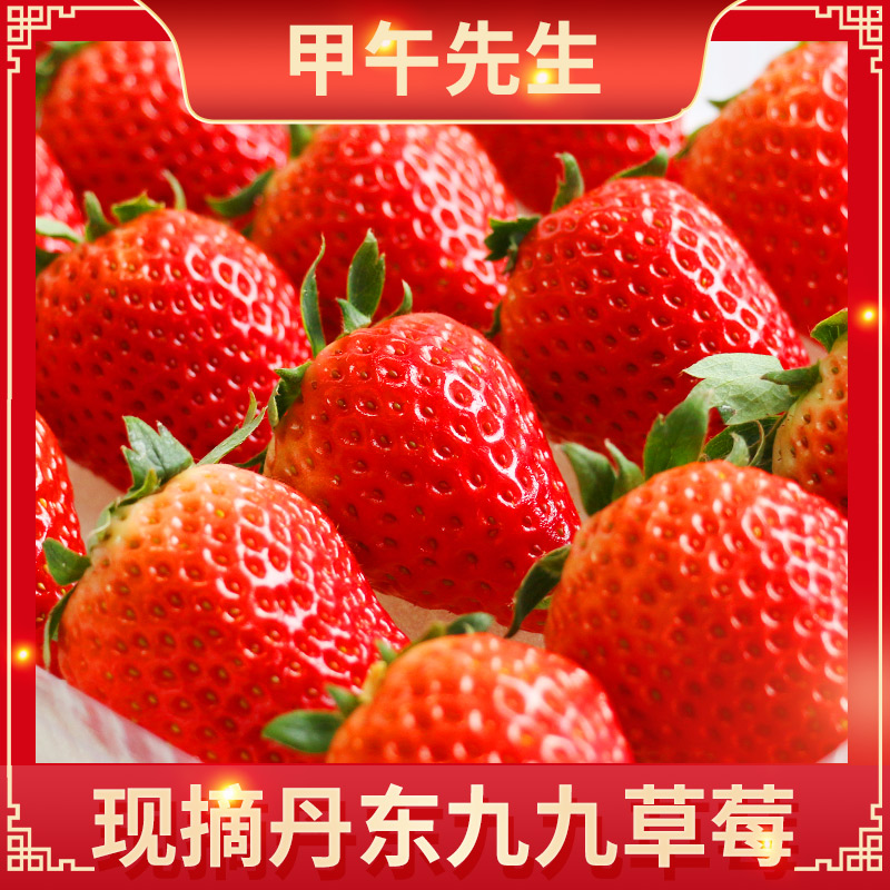 丹东99草莓九九红颜新鲜牛奶奶油东港正现摘现发