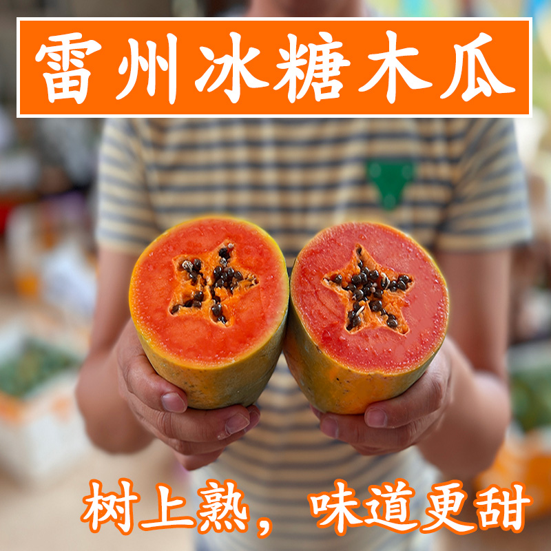 【树上熟 雷州冰糖木瓜】绿符老树红心木瓜当季新鲜水果8/5/3斤包邮