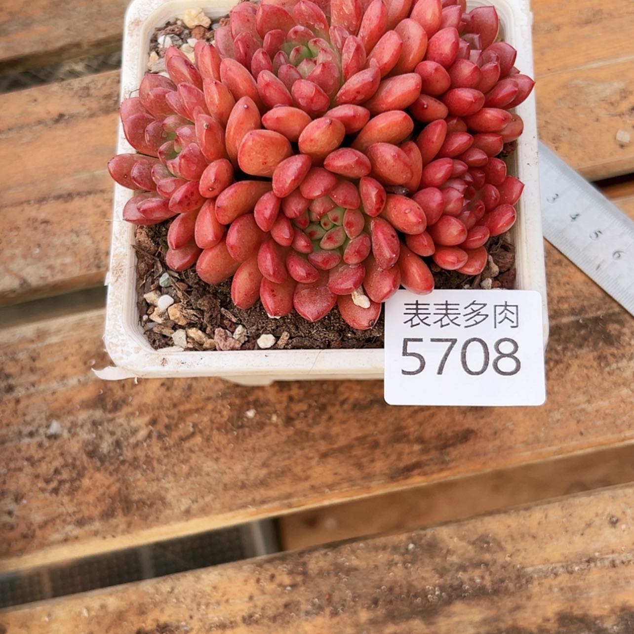 【闪购商品】每天5708