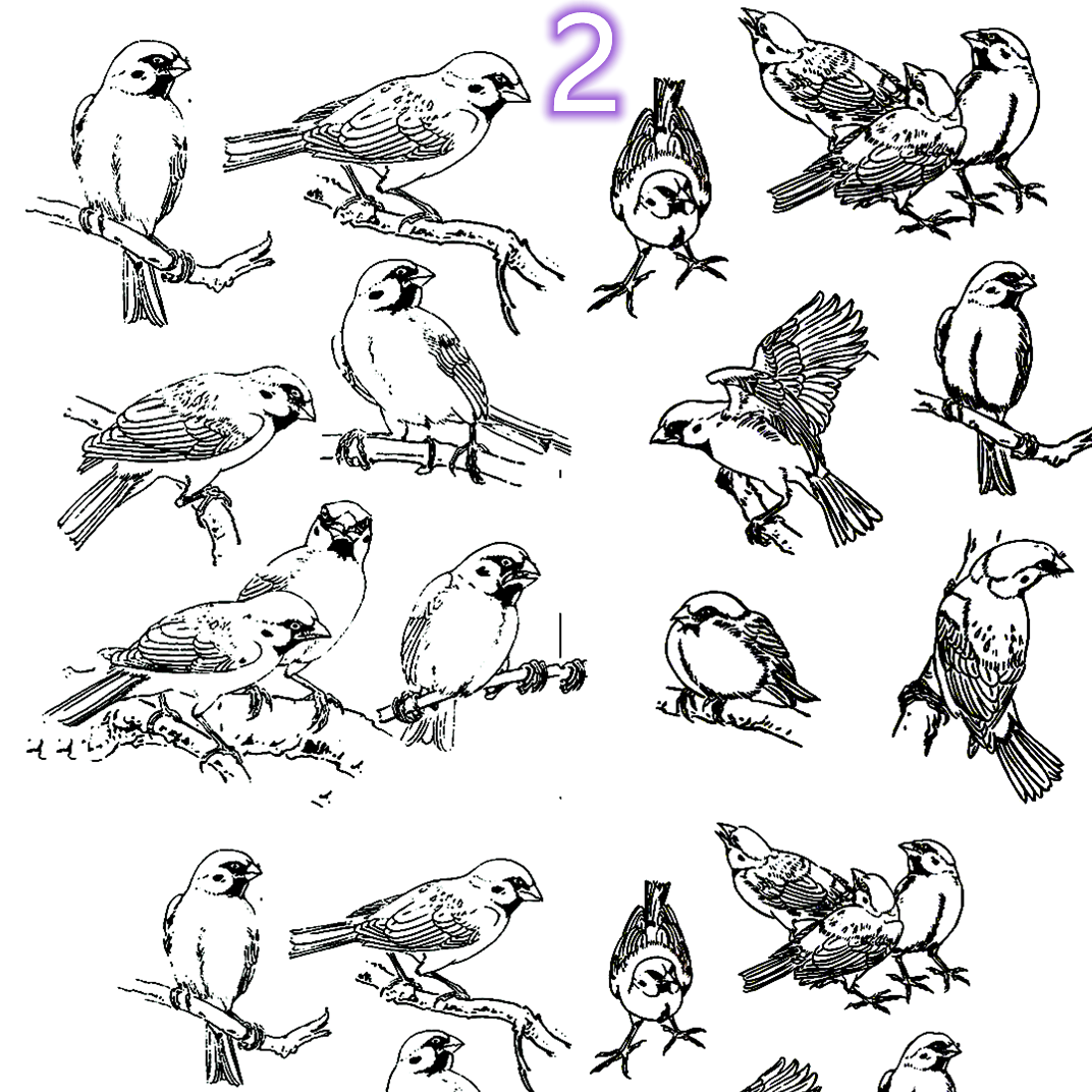 精品小号白菜如意佛手莲花金蟾柿子桃子拓印稿油组合1