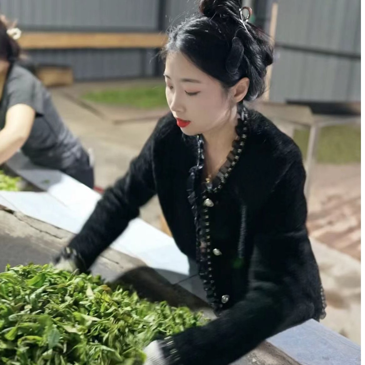 《璐露纯手工》森林秘语  2025普洱茶生普