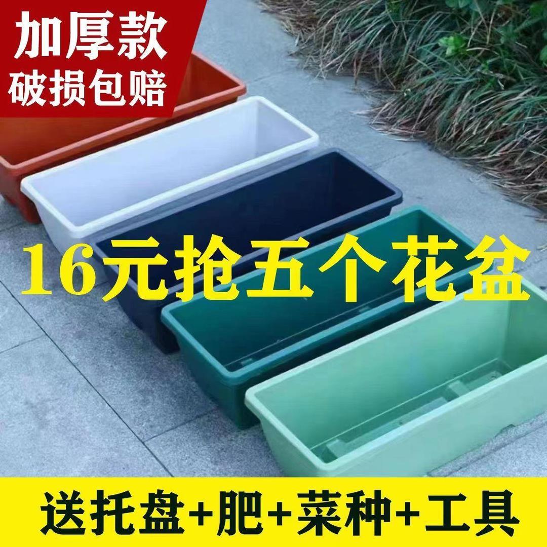 疆藏全国包邮小扬哥推荐霍伦盆阳台种菜专用盆长方形花盆草莓蔬菜