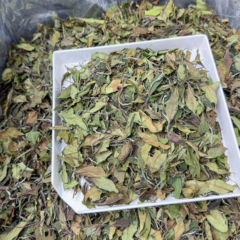 2024白露茶云雾滋润福鼎白茶正宗高山茶叶口感醇厚寿眉散茶