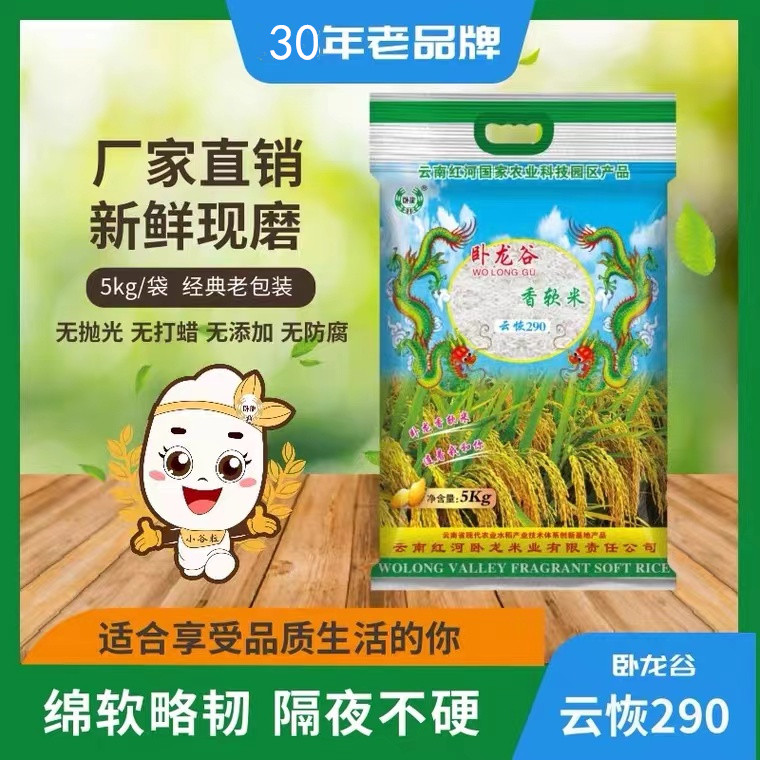 卧龙谷 2025年新米  云恢米290  5kg  云南大米  包邮