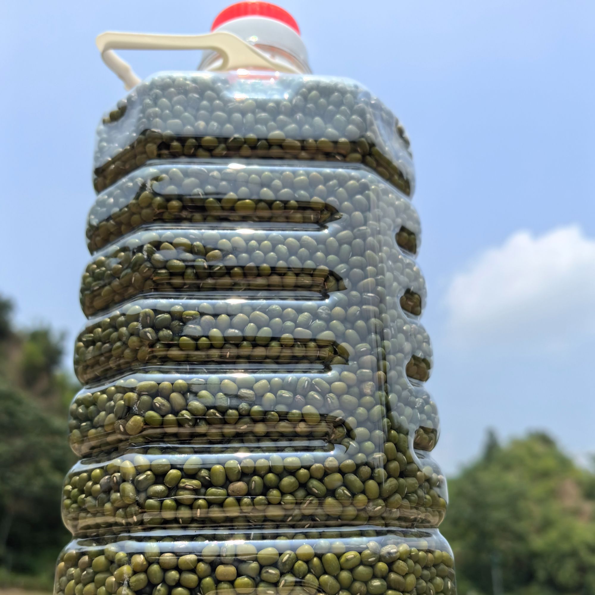 【助农产品】河南农家自产新鲜精选煮粥绿豆4.5斤包邮