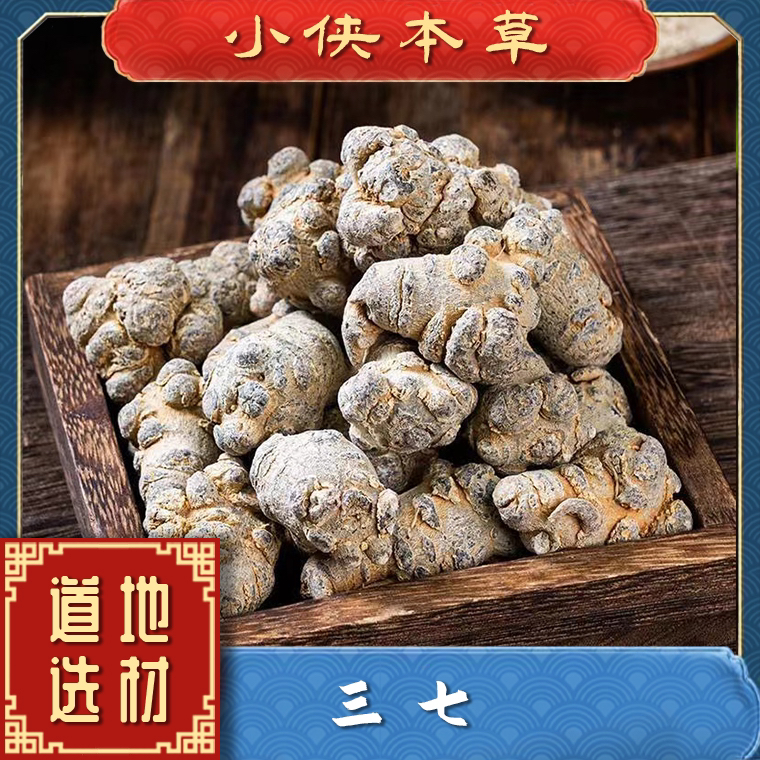【小侠本草】正宗云南文山20头三七精品三七正品道地三七搭配西洋参