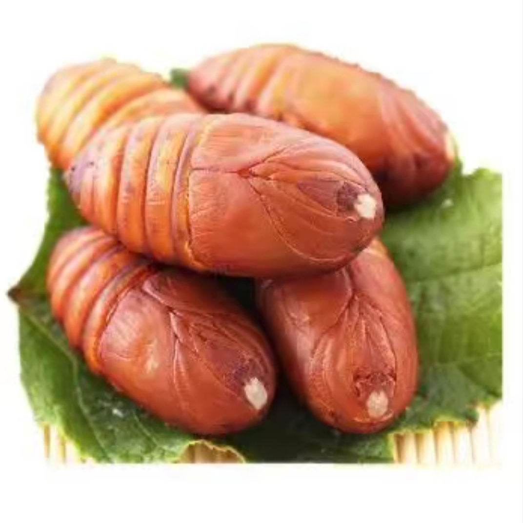 西丰柞蚕蛹大黄(4～5cm）
