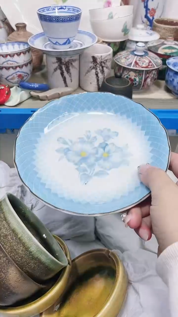【闪购商品】陶瓷瓷片2471