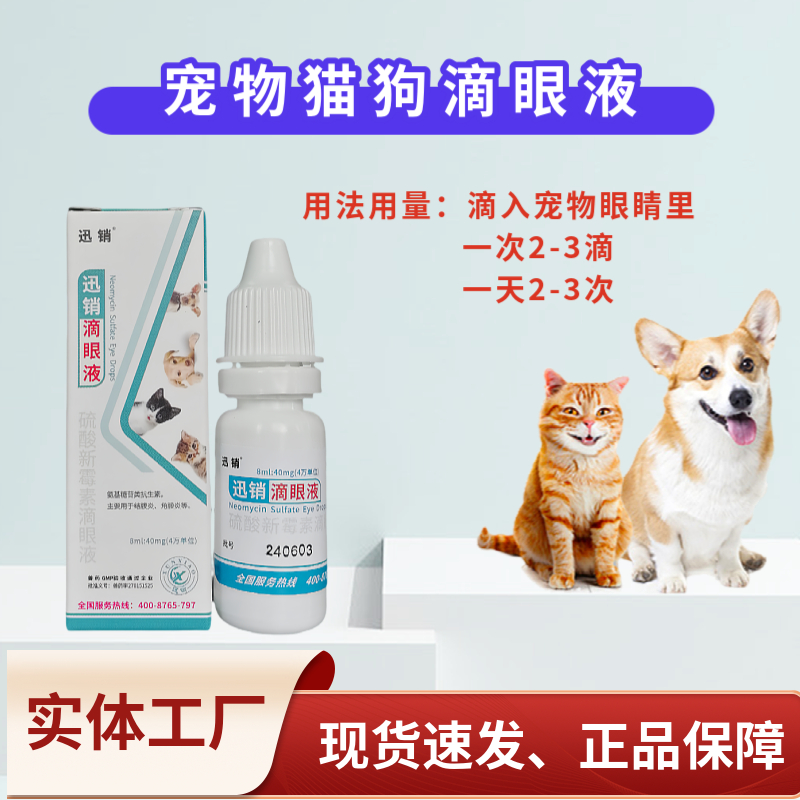 硫酸新霉素滴眼液猫咪眼药水消炎狗狗眼药水宠物用眼睛发炎流泪痕