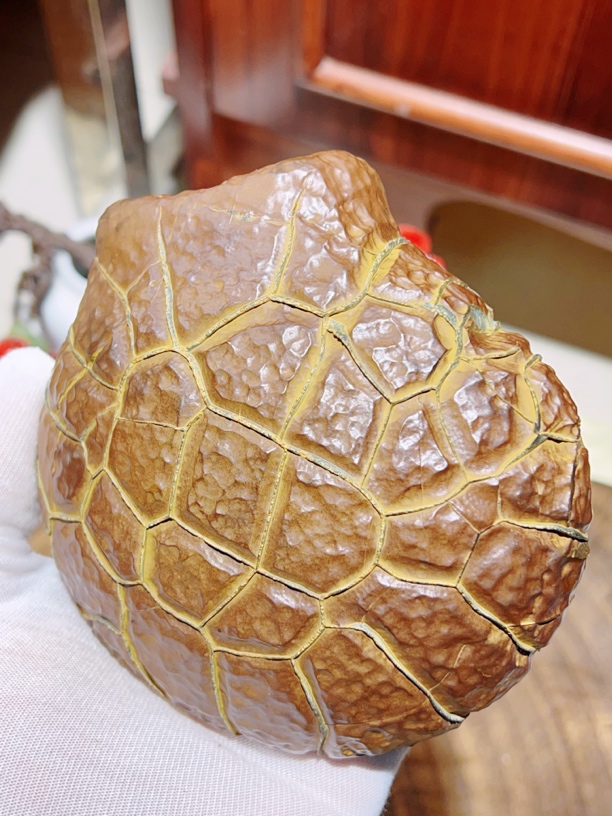 精品龟纹石文房雅器赏石艺术石文化珍品天然批发