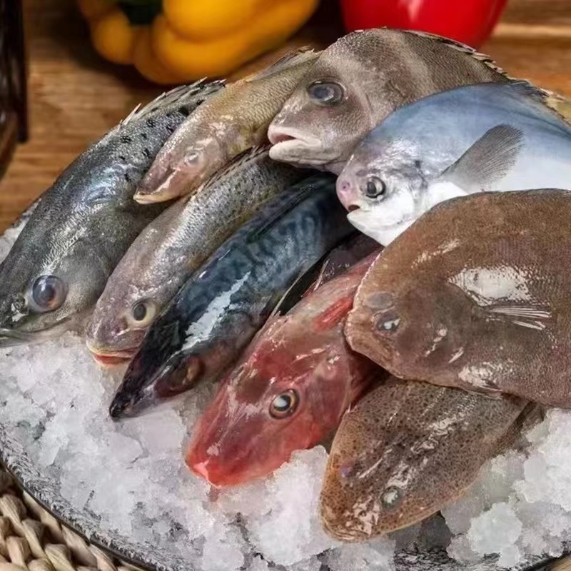 海鲜新鲜杂鱼 海鲜套餐 新鲜现称 
