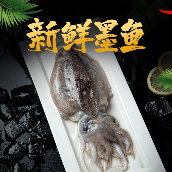 本地新鲜大墨鱼 新鲜冷冻 干板 3斤6个左右 顺丰包邮 