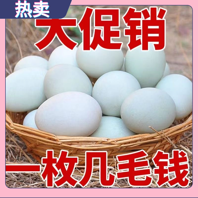 【农家散养】正宗鄱阳湖土鸭蛋湖里放养新鲜现捡现发包赔批发促销