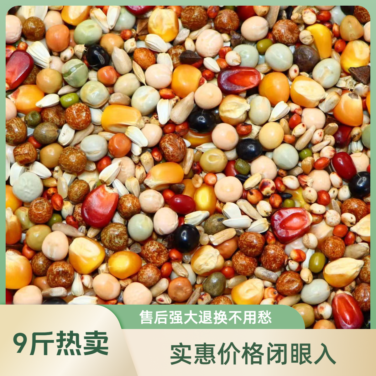 新鲜干净玉米丰富豆类津门赛得利、营养特级粮9斤、信鸽元宝鸽粮