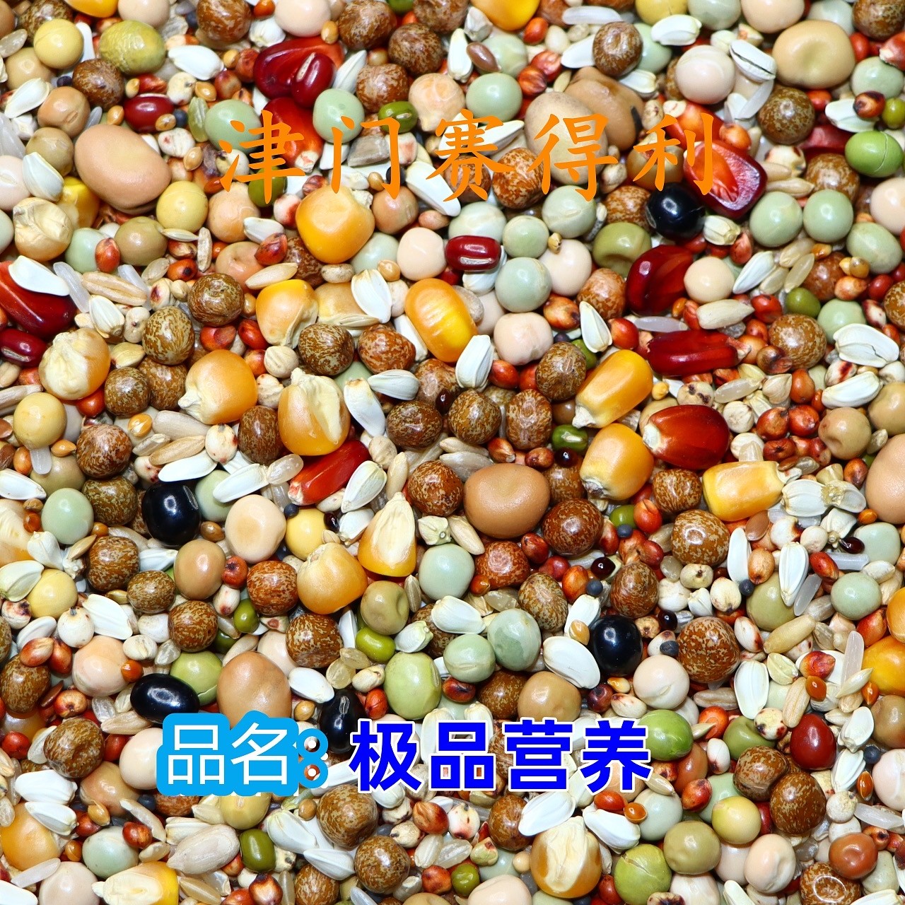 营养系粮杂粮组合精选健康均衡搭配优选新鲜鸽粮50斤包邮元宝圆环