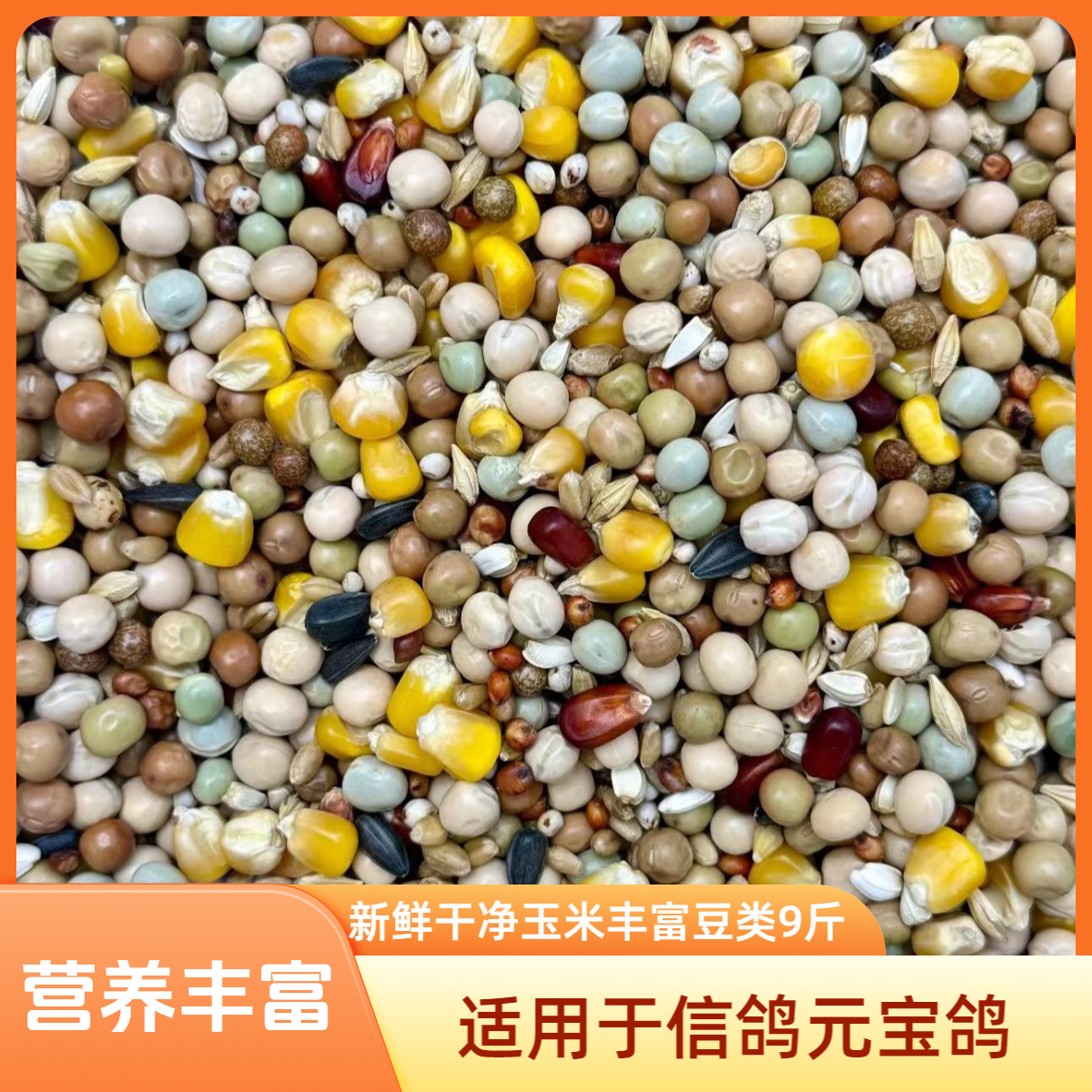 新鲜干净玉米丰富豆类津门赛得利、营养02粮9斤、信鸽元宝鸽粮