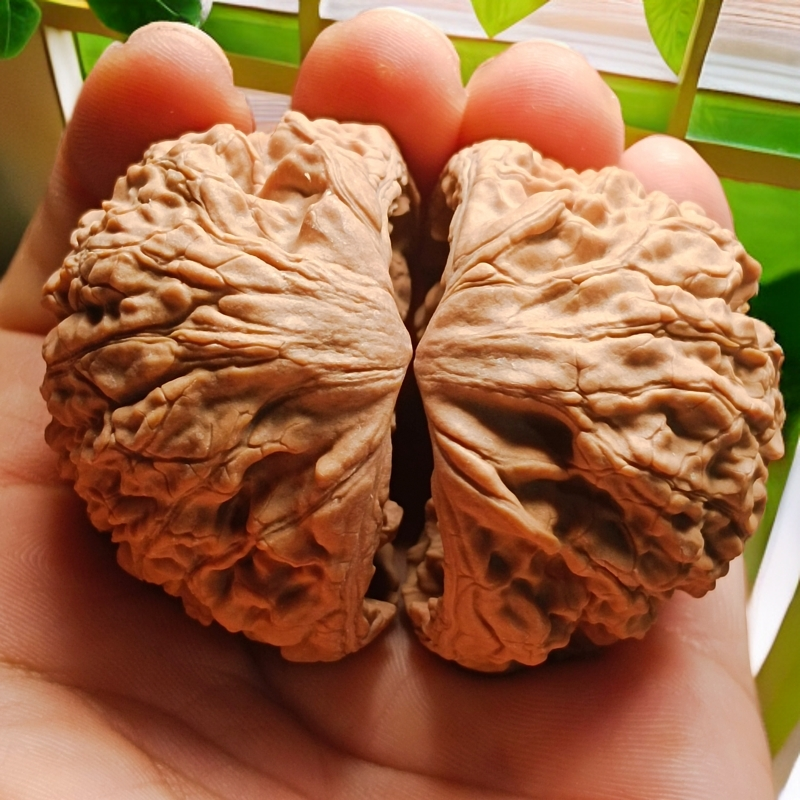 麒麟纹官帽精品头货聚宝盆蛇头手把件