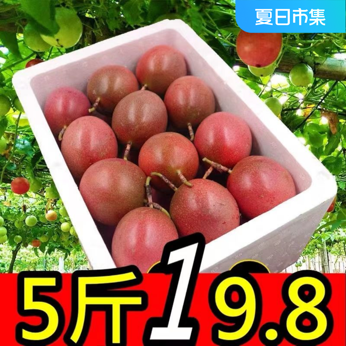 云南高山百香果5斤3斤2斤新鲜水果应季水果特大果紫皮百香果酸甜