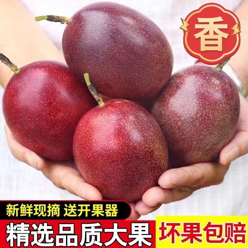 新鲜采摘应季特大果紫皮百香果大果1/2斤新鲜水果新