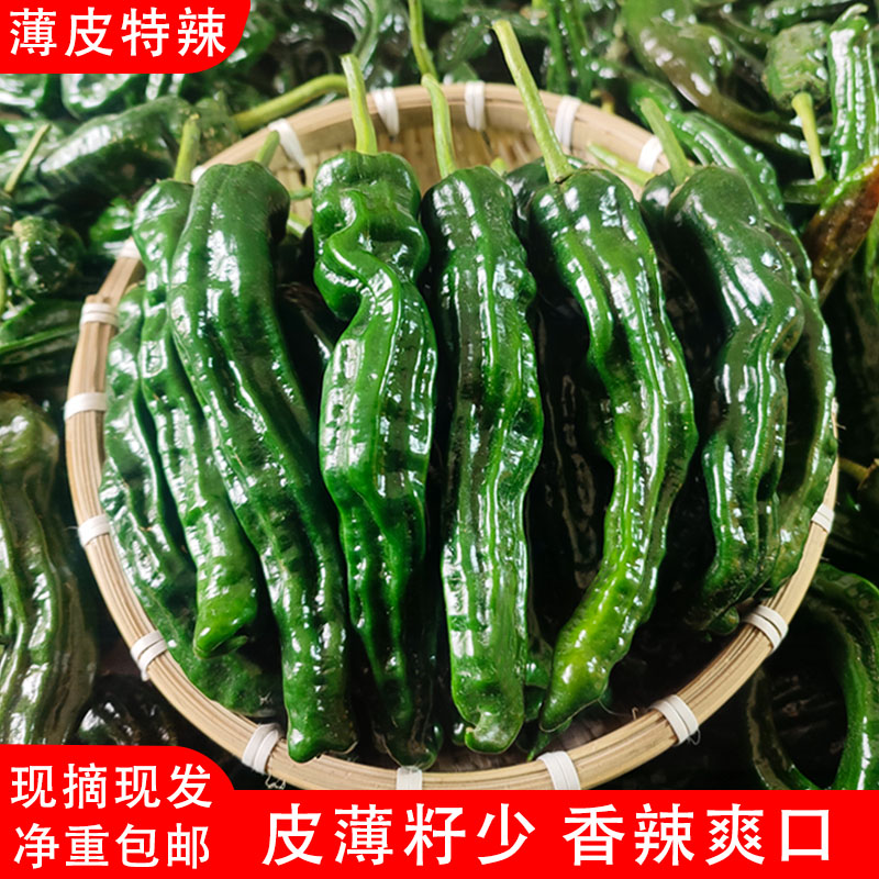 特辣辣椒新鲜蔬菜薄皮青椒超辣小皱皮农家自种土辣椒2斤3斤5斤