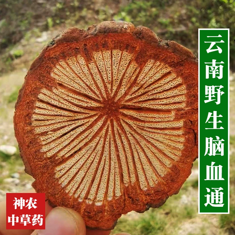 云南脑血通中药材血通片1斤包邮特级老树大血藤血塞通泡酒红藤片