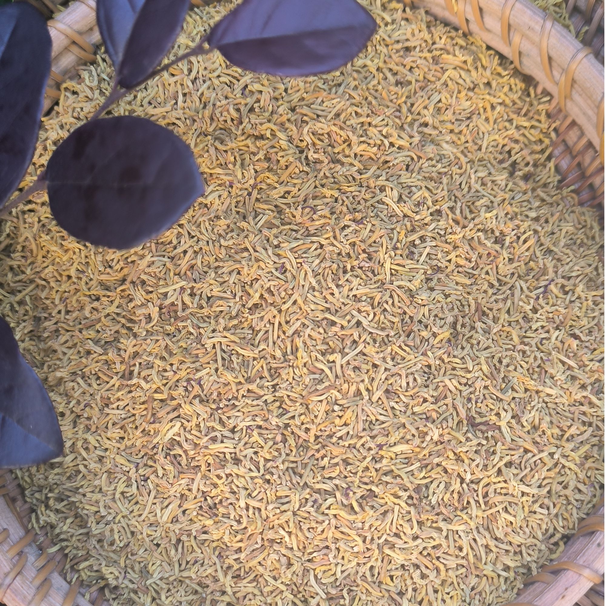 1【黄-金-蕊】净含量：50g-250g【希希现收】菌