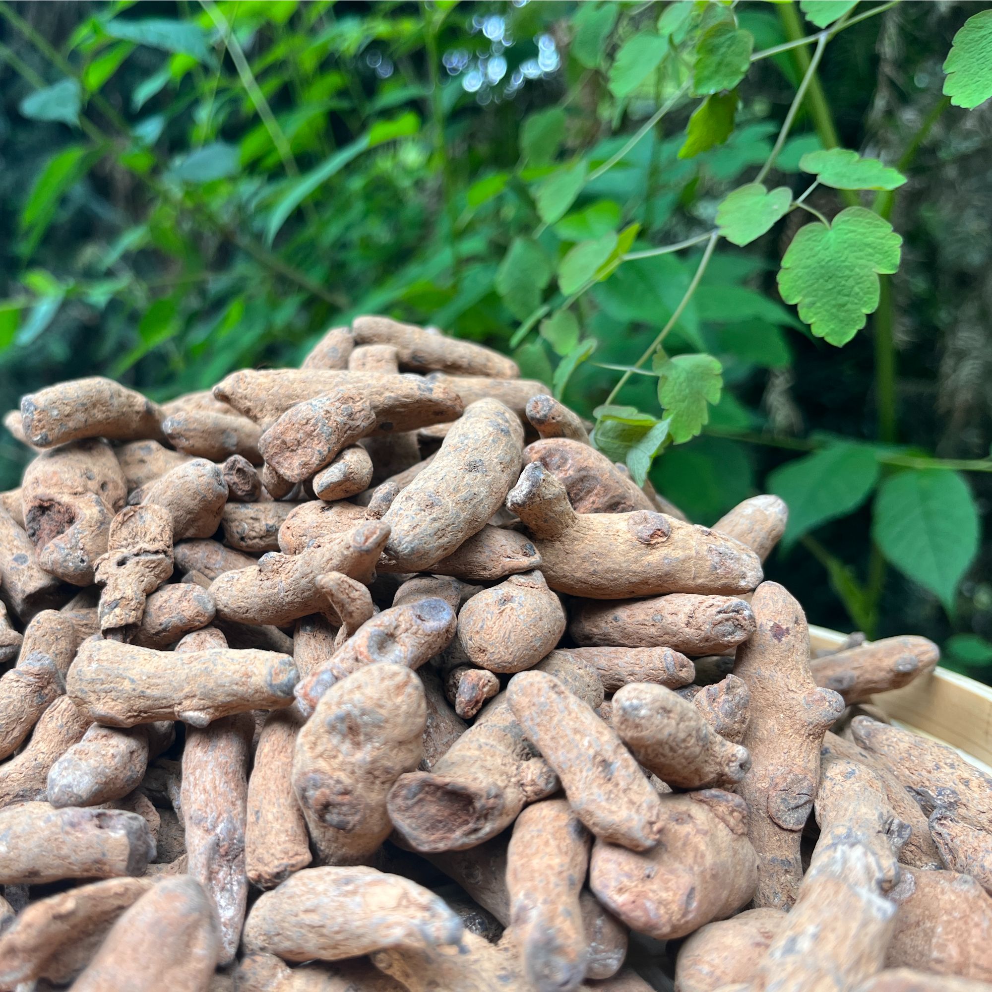 1【鳕-三-鳍】净含量：500g【希希现收】