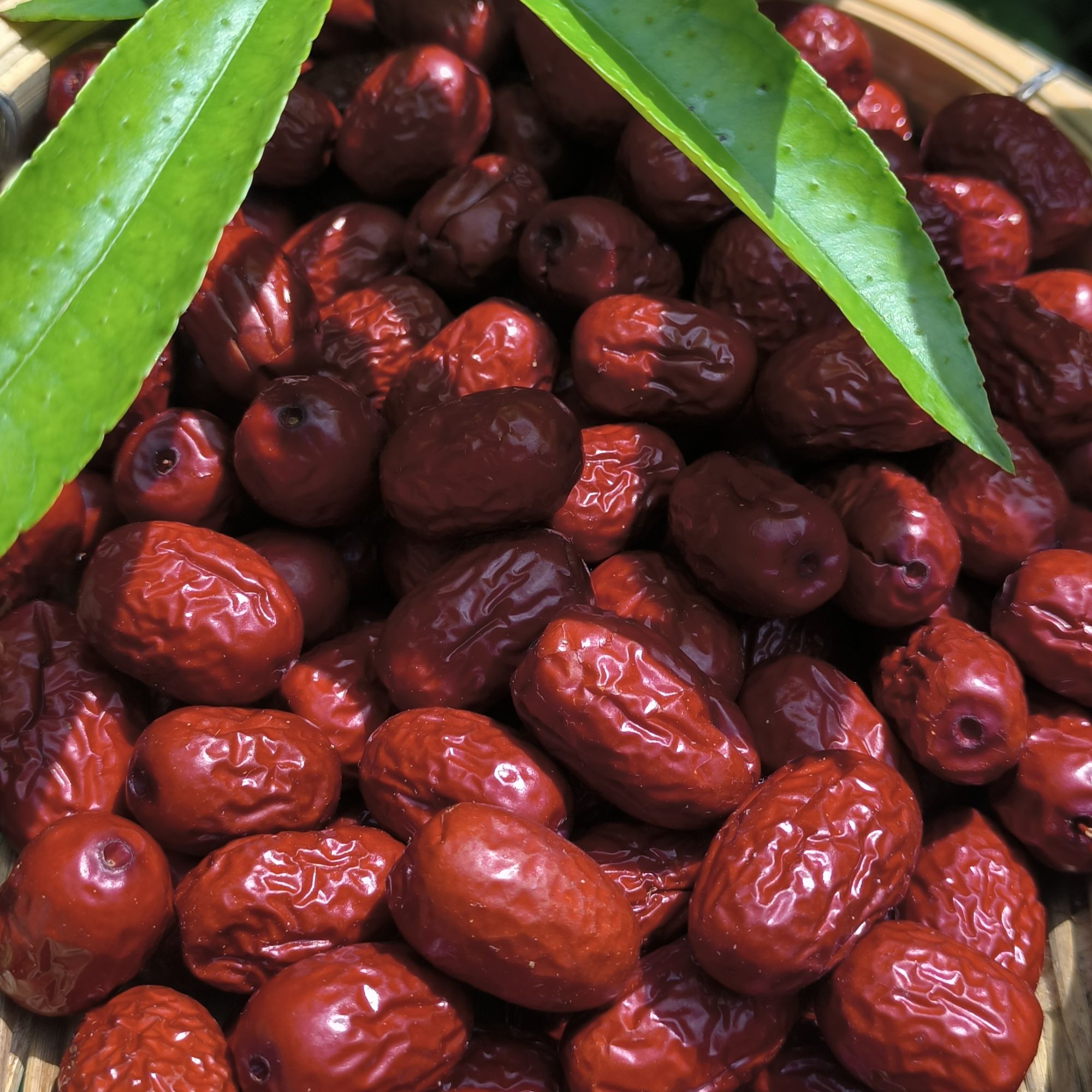 2【高-原-红-枣】净含量：500g【希希现收】
