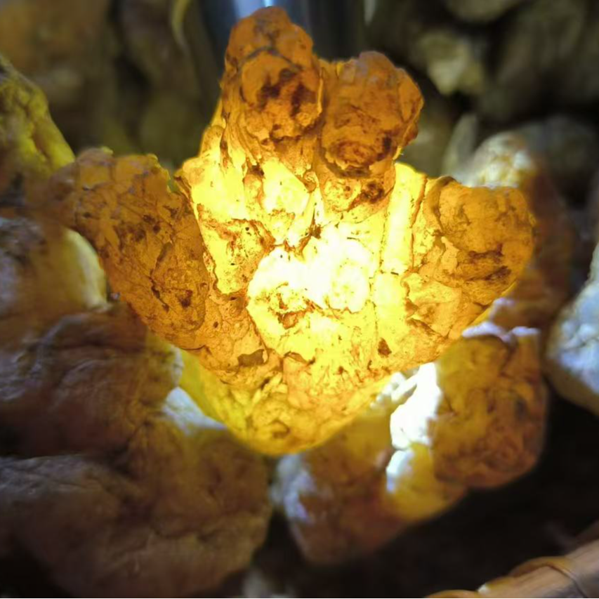 4【玉-精-灵】净含量：250g-1000g【希希现收】菌