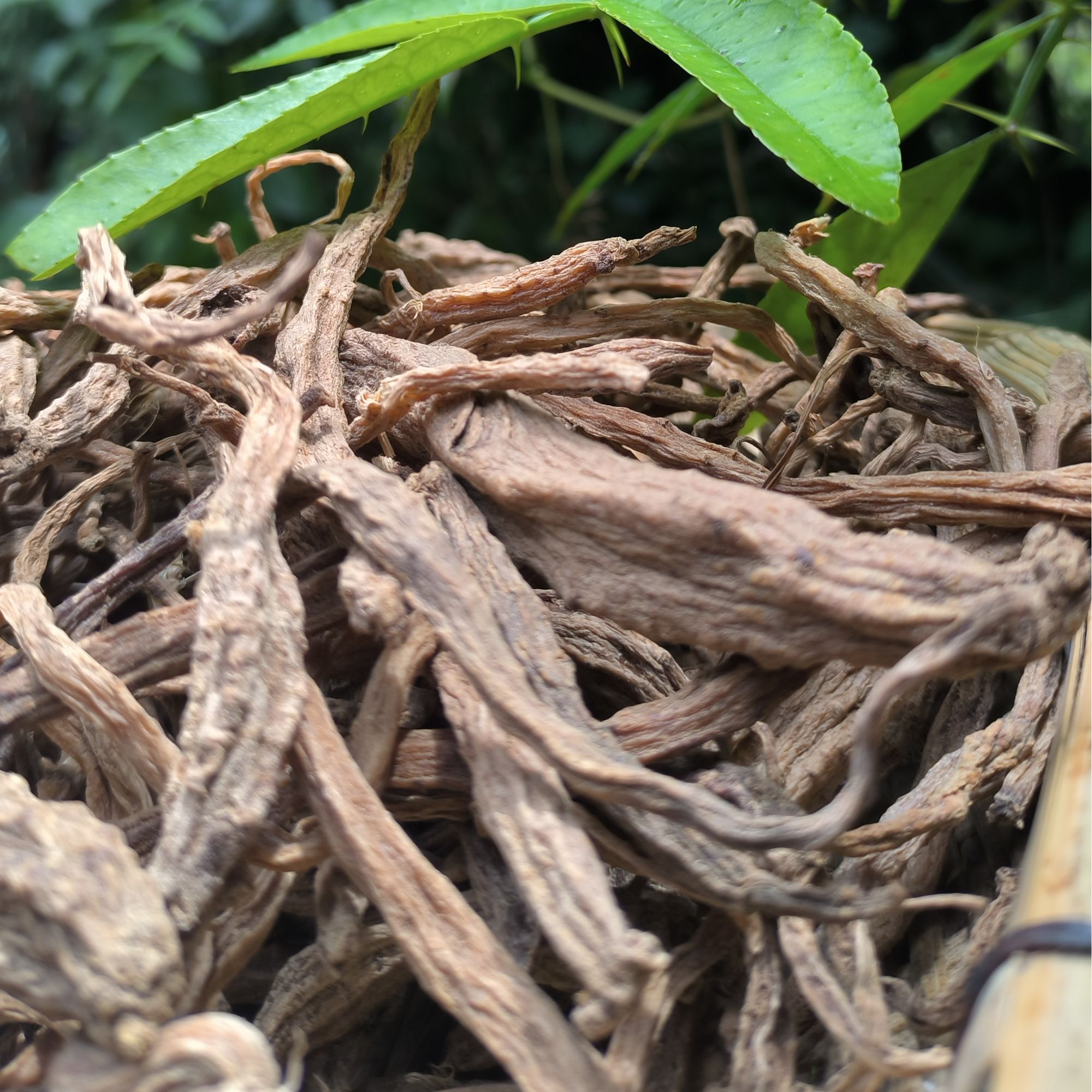 2【鐷-党-傪 】参 净含量：250g-500g【希希现收】