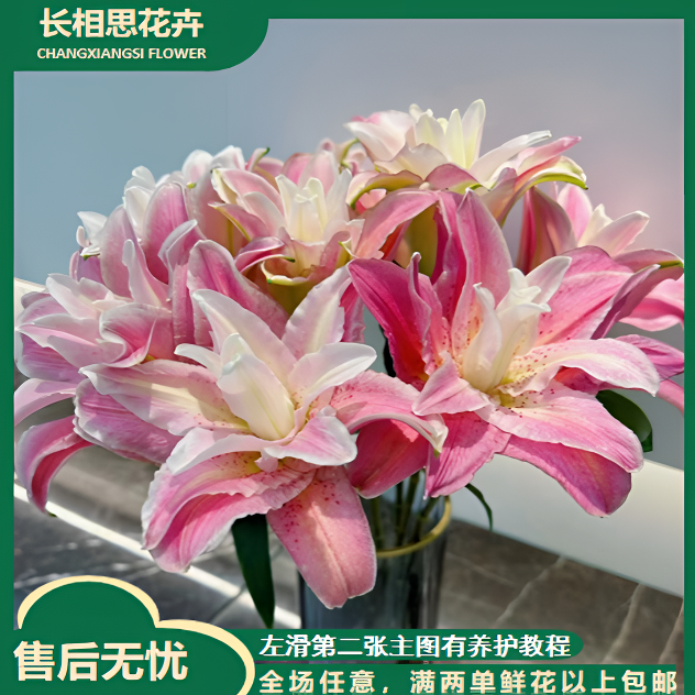 富安娜重瓣百合 生花苞小 任意2单以上发货包邮鲜花