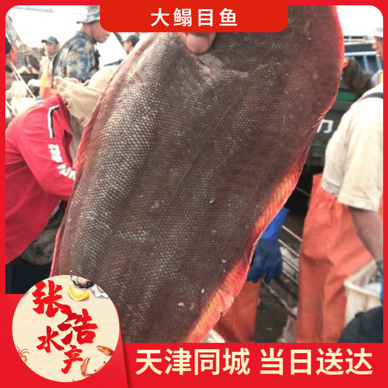 【张浩海鲜】目鱼 鳎目鱼 1-6条 天津市内六区当日达