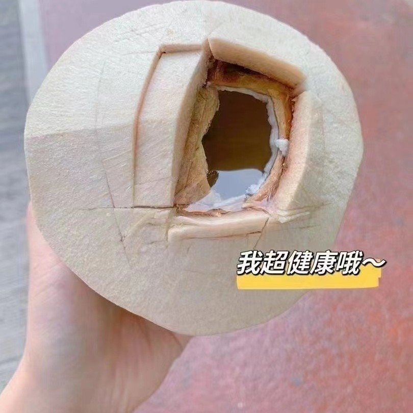 海南香水椰青1个装1.5-2斤左右