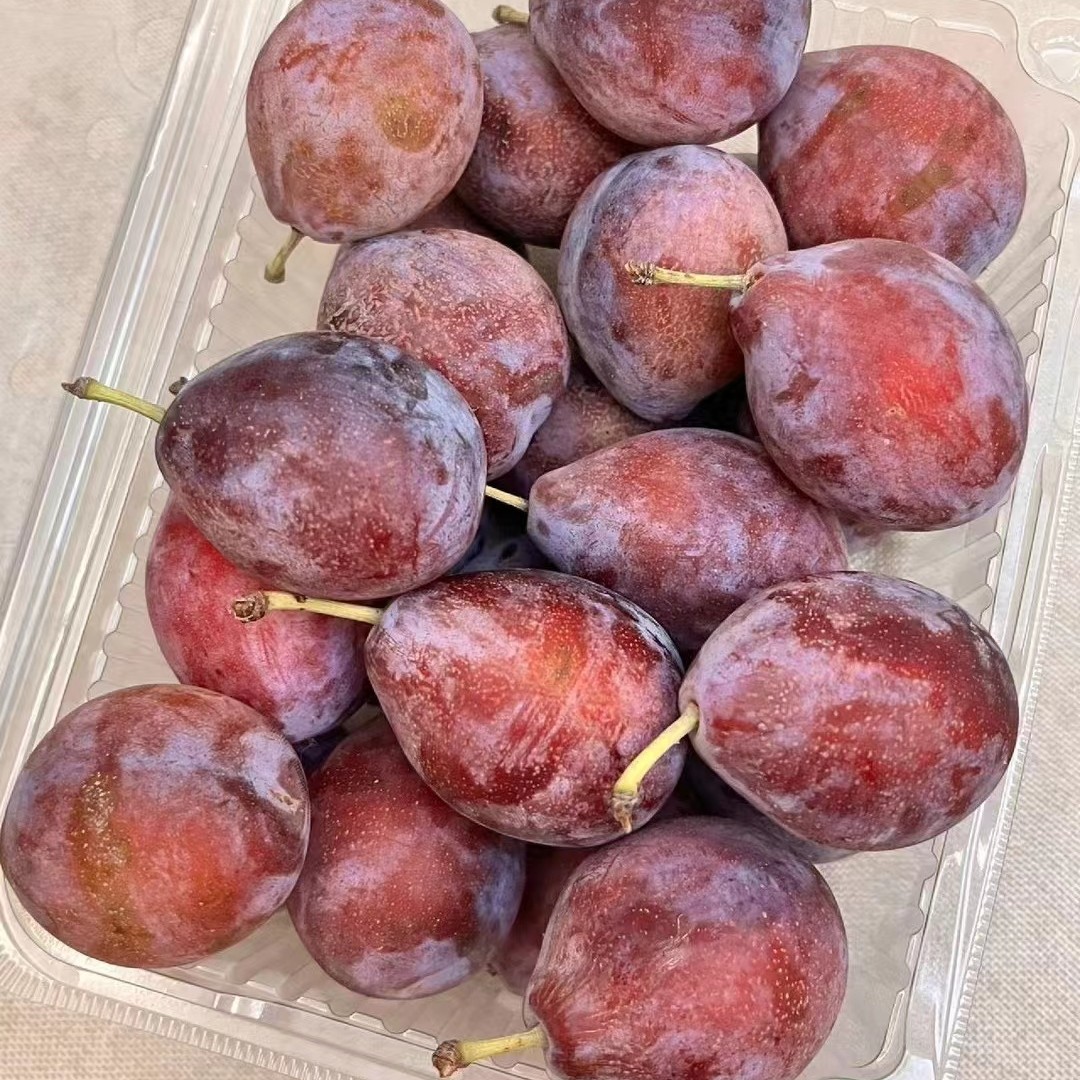 精品新疆伽师西梅一筐