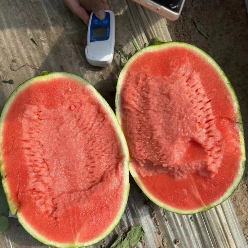 甘美4K西瓜整个爆甜当季时令新鲜水果多汁水只发川渝